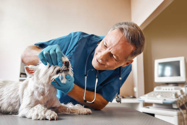 Best Emergency Root Canal Treatment in Kimball, TN